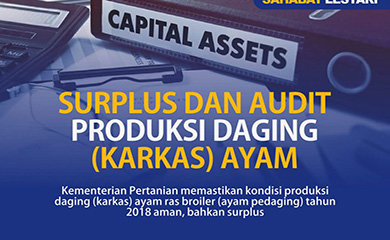 Surplus dan Audit Produksi Daging (Karkas) Ayam