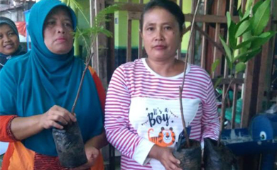 Dukung Kelestarian Lingkungan, Lestari Moerdijat Beri Ribuan Bibit Pohon