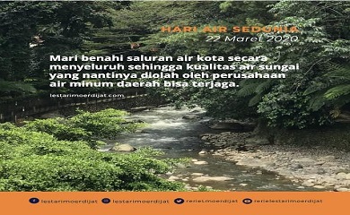 Menjadikan Kota Ramah Air Bukan Sekadar Impian