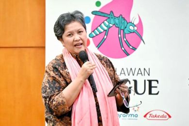 Lestari Moerdijat: Pemahaman Terkait Bahaya Dengue Penting dalam Penanggulangan Dengue di Tanah Air
