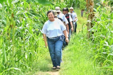 Lestari Moerdijat: Kemandirian Pangan Bagian Upaya Wujudkan Keadilan Sosial Bagi Seluruh Rakyat Indonesia